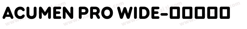 ACUMEN PRO WIDE字体转换